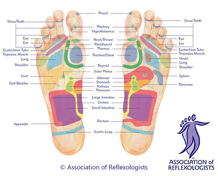 About. FOOTMAP